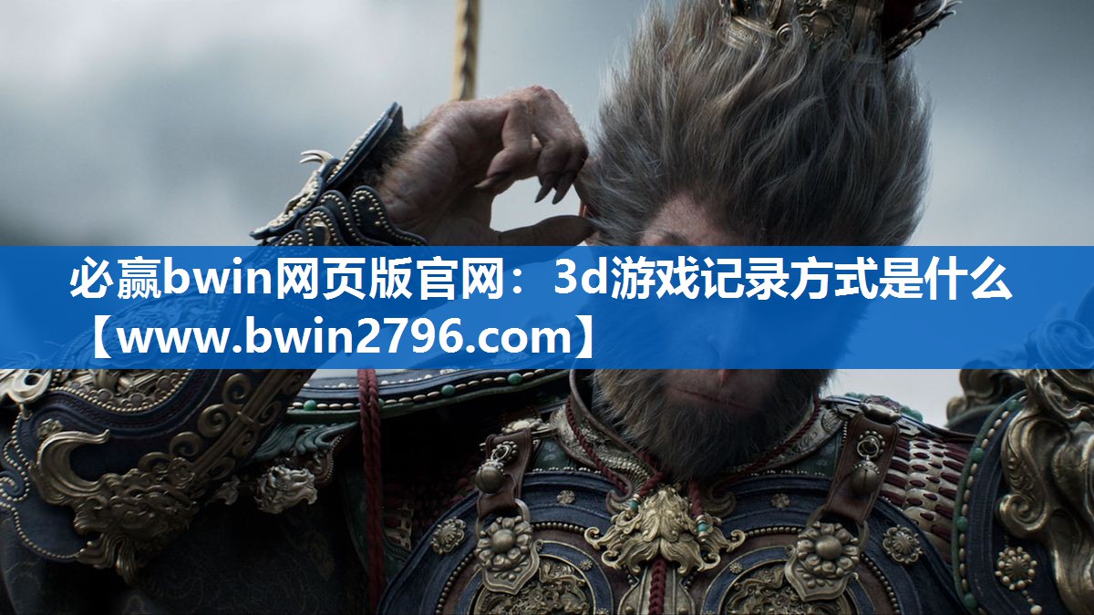 3d游戏记录方式是什么